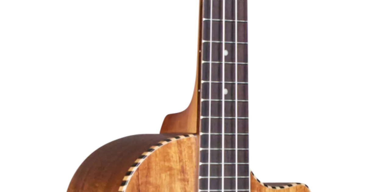 25T-CE - Cordoba Guitars